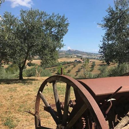 Appartamento Olivo Collecorvino Exterior photo