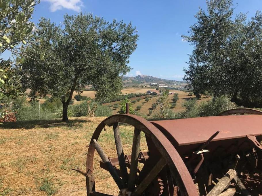 Appartamento Olivo Collecorvino Exterior photo